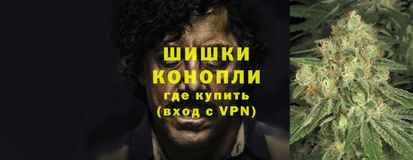 дживик Аркадак