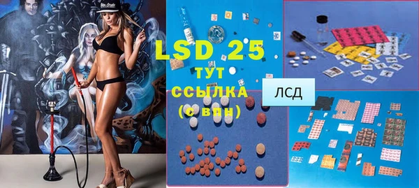 дживик Аркадак