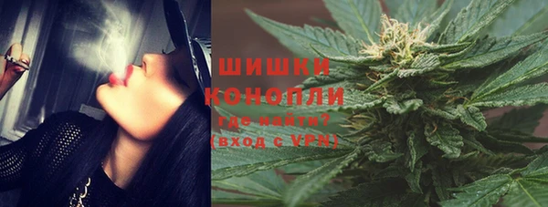 сатива Приозерск